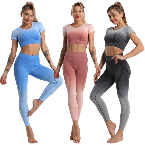 Two-piece Seamless Women's Yoga Suit