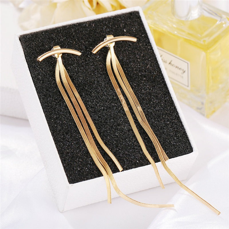 Tassel earrings, female metal snake bone long style earrings, earrings