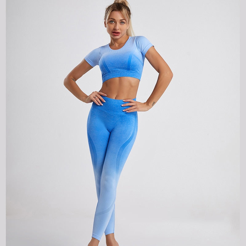 Two-piece Seamless Women's Yoga Suit